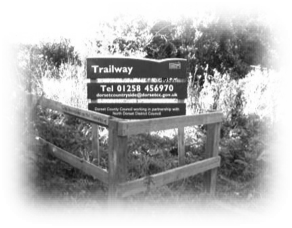 Train Sign